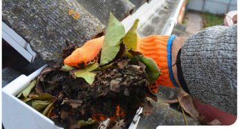 3 Common Culprits Behind Gutter Clogs