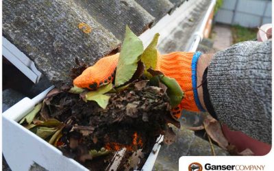 3 Common Culprits Behind Gutter Clogs