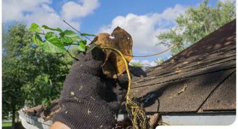 How to Save on Your Gutter Maintenance Expenses