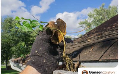 How to Save on Your Gutter Maintenance Expenses