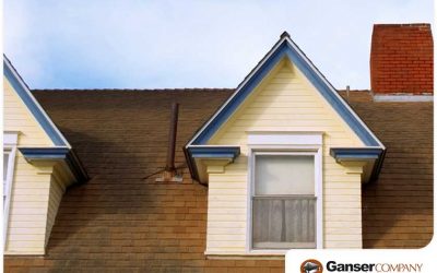 A Guide on Asphalt Shingle Roof Discoloration and Staining