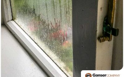 4 Signs Your Window Seals Are Failing