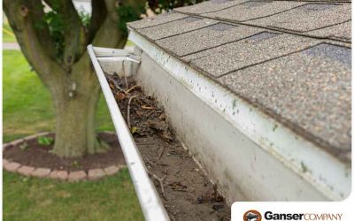 Why You Should Get New Gutters This Spring