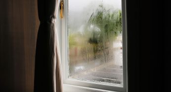 Why Are My Windows Foggy?