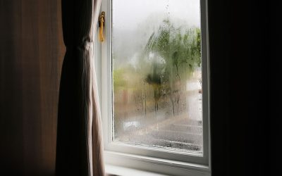 Why Are My Windows Foggy?