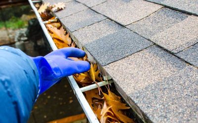 Check Out This Roof Maintenance Checklist This Fall