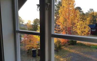 Tips to Prepare Your Windows for Fall and Winter