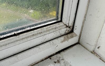 How Old Windows Could Be Costing You More Than You Realize